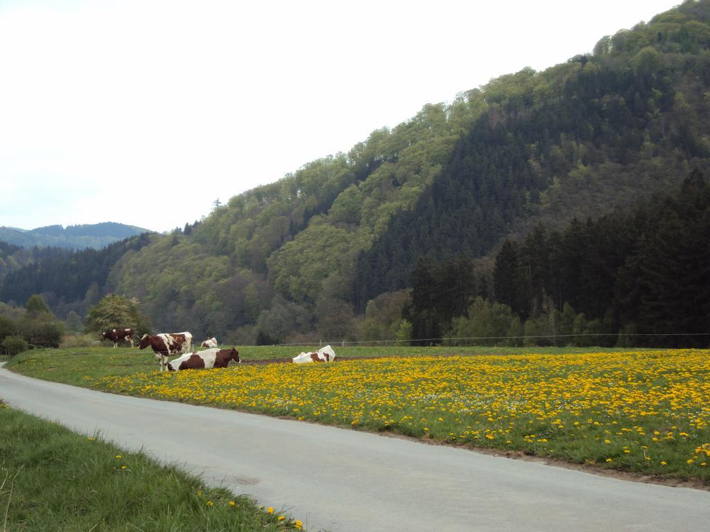 Gasthof Zum Diemeltal Marsberg Esterno foto