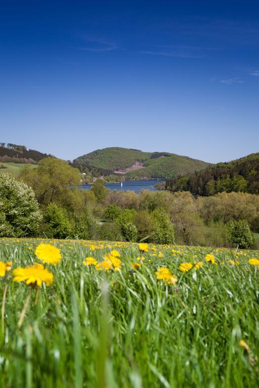 Gasthof Zum Diemeltal Marsberg Esterno foto